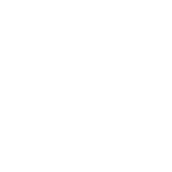 icon medaille